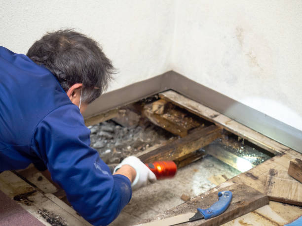 Best Mold Testing  in Coupeville, WA