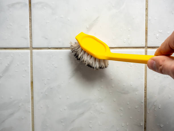 Best Mold Removal Company Near Me  in Coupeville, WA